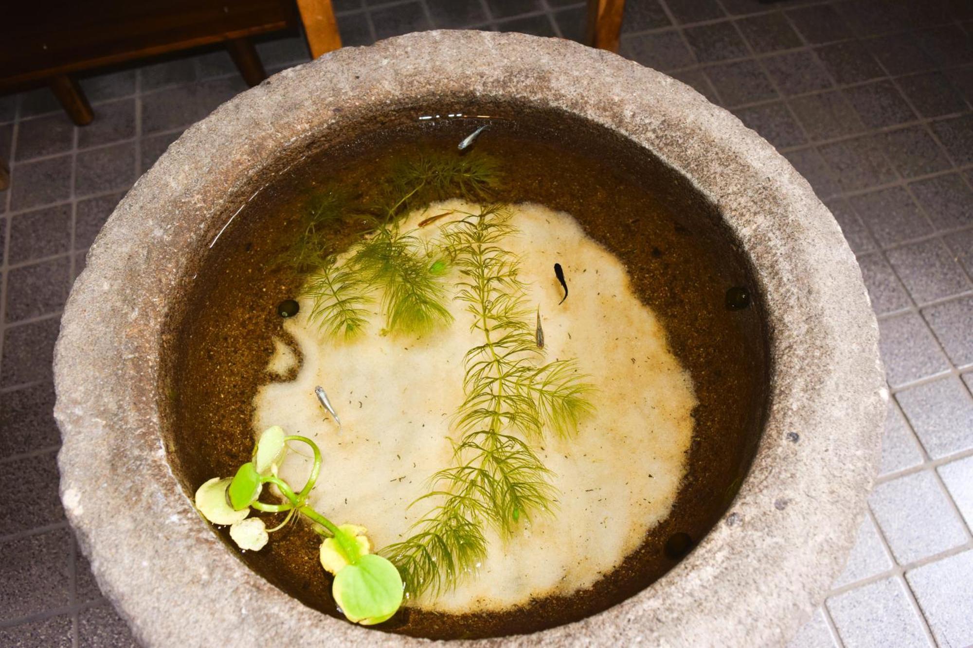 高山市 Atagoyaヴィラ エクステリア 写真